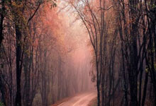 爱游戏娱乐-德国队绝杀泰国队，李梓嘉带队取胜