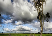 爱游戏娱乐-德国队绝杀泰国队，李梓嘉带队取胜