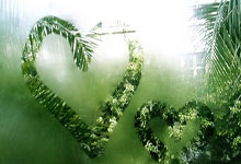 爱游戏娱乐-德国队绝杀泰国队，李梓嘉带队取胜