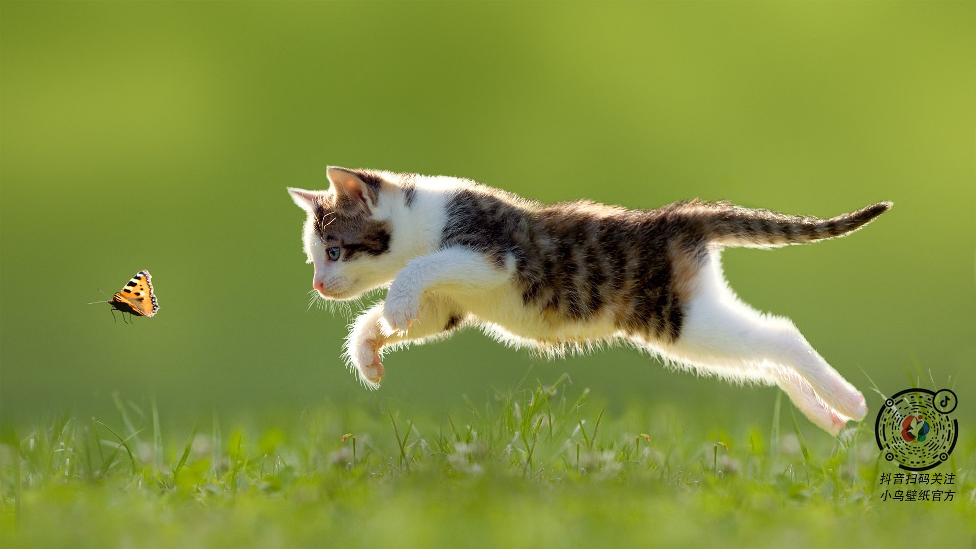 红土与硬地的交响诗，穆雷双杀德约的高光传奇