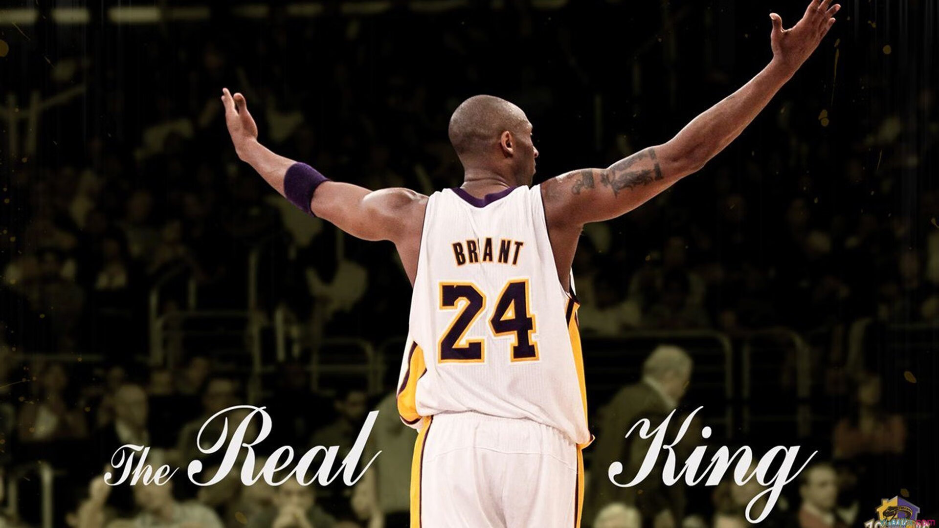 王者降临！范戴克头槌定江山，巴黎惊天逆转银河战舰