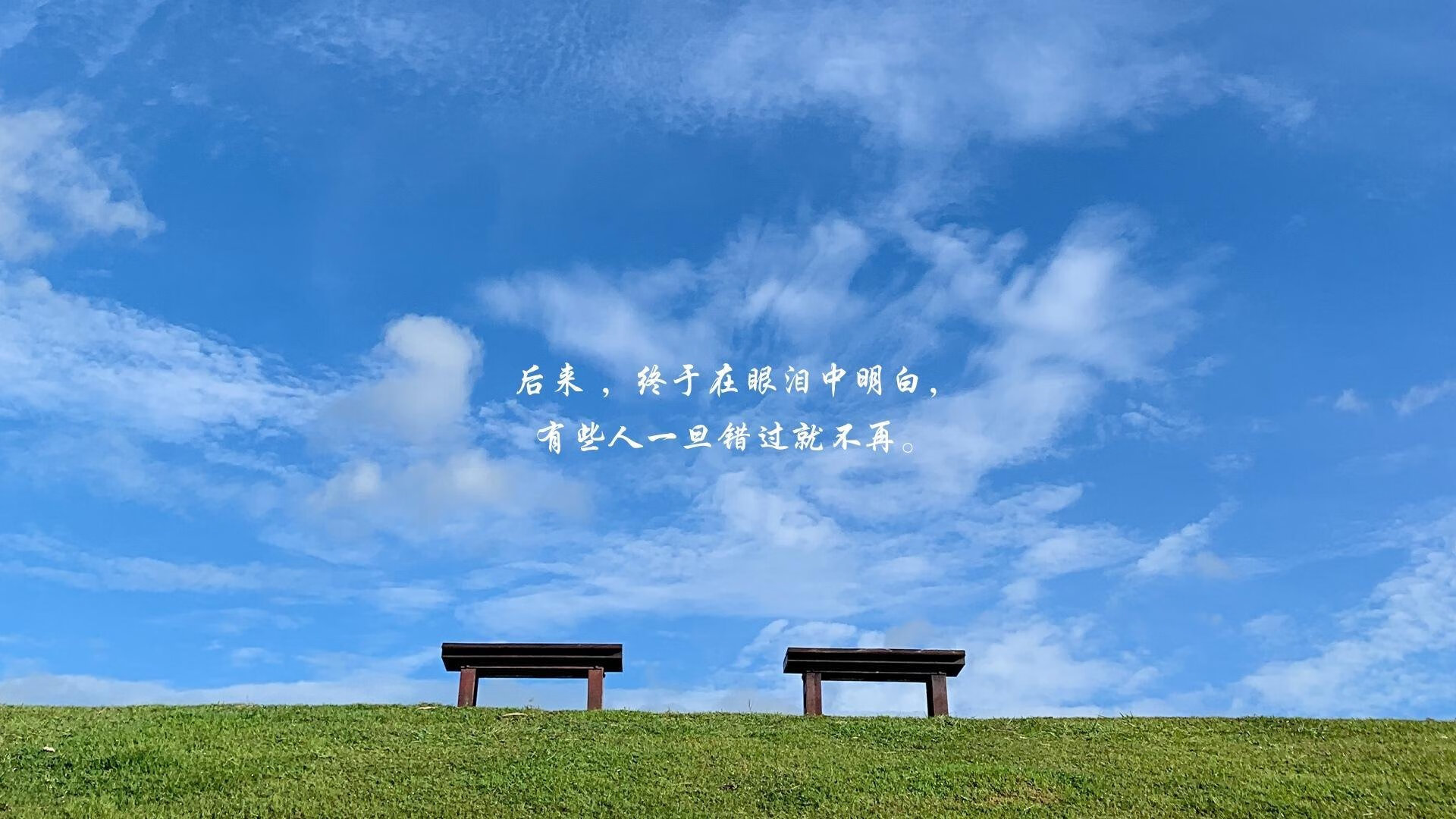 铁壁与尖刀,猛龙窒息防守锁死鹈鹕,德罗赞30+彻底撕裂防线