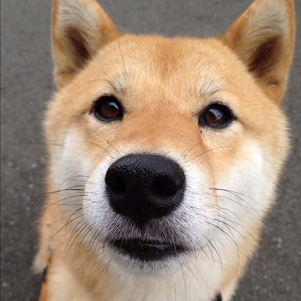 跨次元首胜!深圳队击溃步行者,库里37分弑旧主