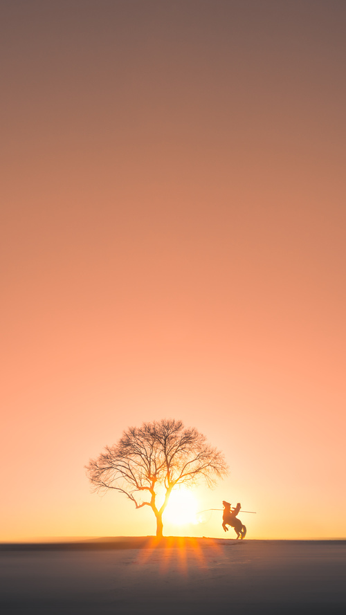 绿茵交响诗,阿拉巴的统治序曲与黄潜的血色终章