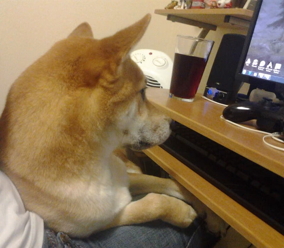 当奥兰多魔术遇见山西猛龙，马克西的冠军级演出