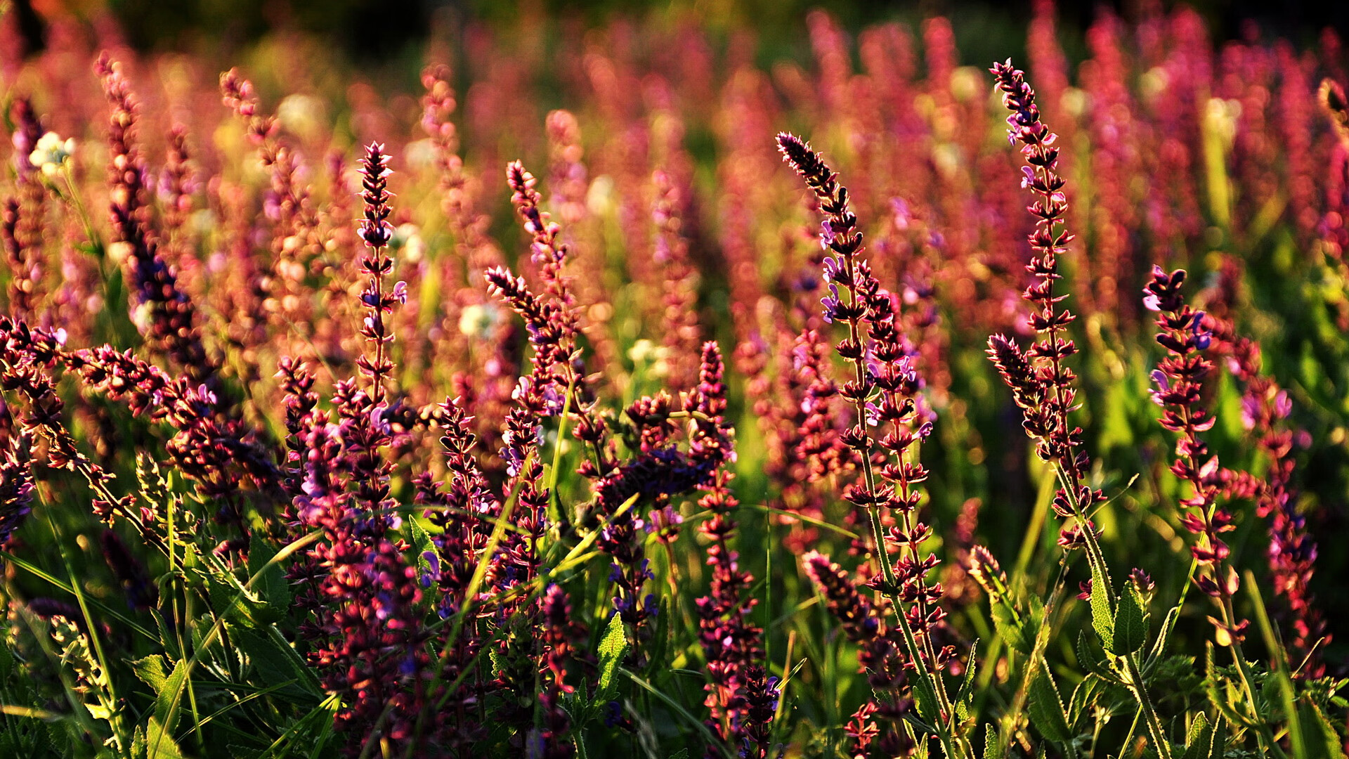 冰与火的对决，比利亚雷亚尔收割冰岛，法比尼奥化身中场齿轮关键先生