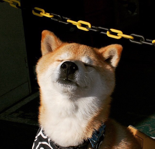 药厂尖刀撕裂雷恩防线，孔德一锤定音，诠释何为打穿的艺术