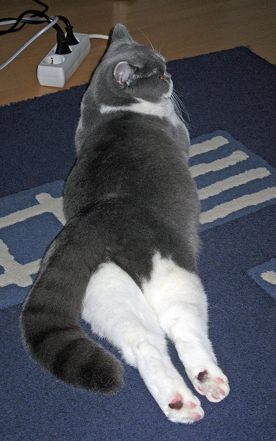 当传奇迎来终章，西亚卡姆西决生死战接管背后的时代暗线