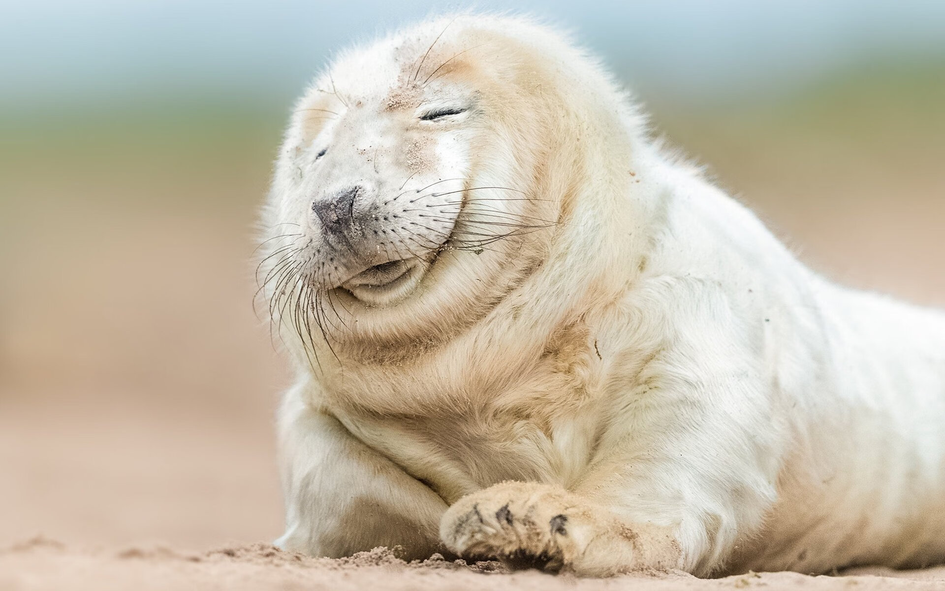 爱游戏大厅-从哥本哈根到总决赛，卡马文加用丹麦战术在NBA赛场接管比赛