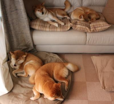 克莱绝境轰出赛季最强音！雄鹿加时鏖战扼杀黄蜂反击