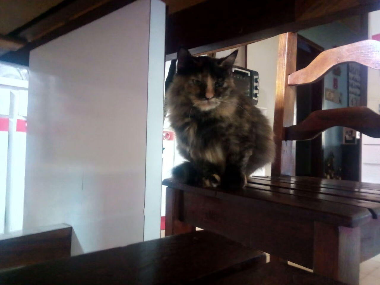 德文·布克,新疆队长在波士顿击碎了最后1.7秒