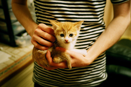 尺冰，也能制造战术雪崩，卡瓦哈尔与冰岛队，无意间揭示了足球的真谛