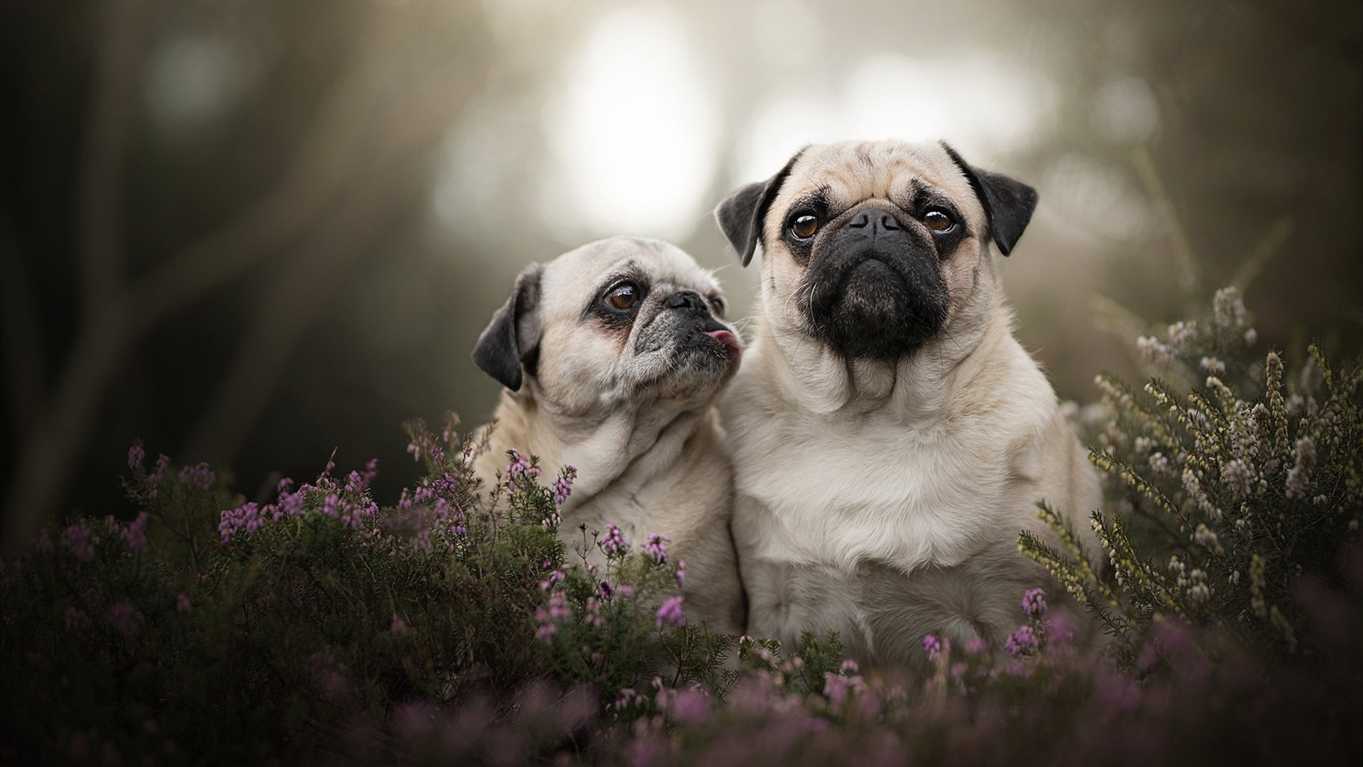 决战白宫东翼，奥利维耶如何让三节末成为终场哨