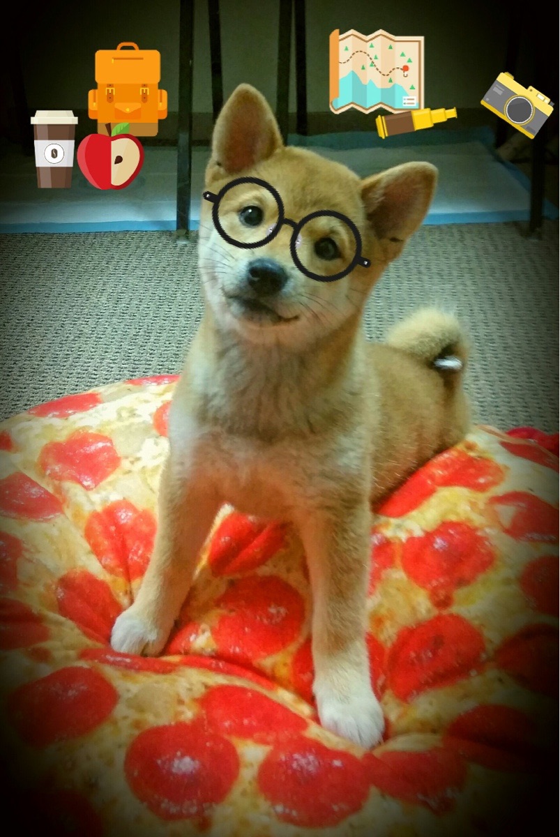 爱游戏在线-保罗稳如定海神针！热火对阵国王，他的稳定输出如何主宰比赛？