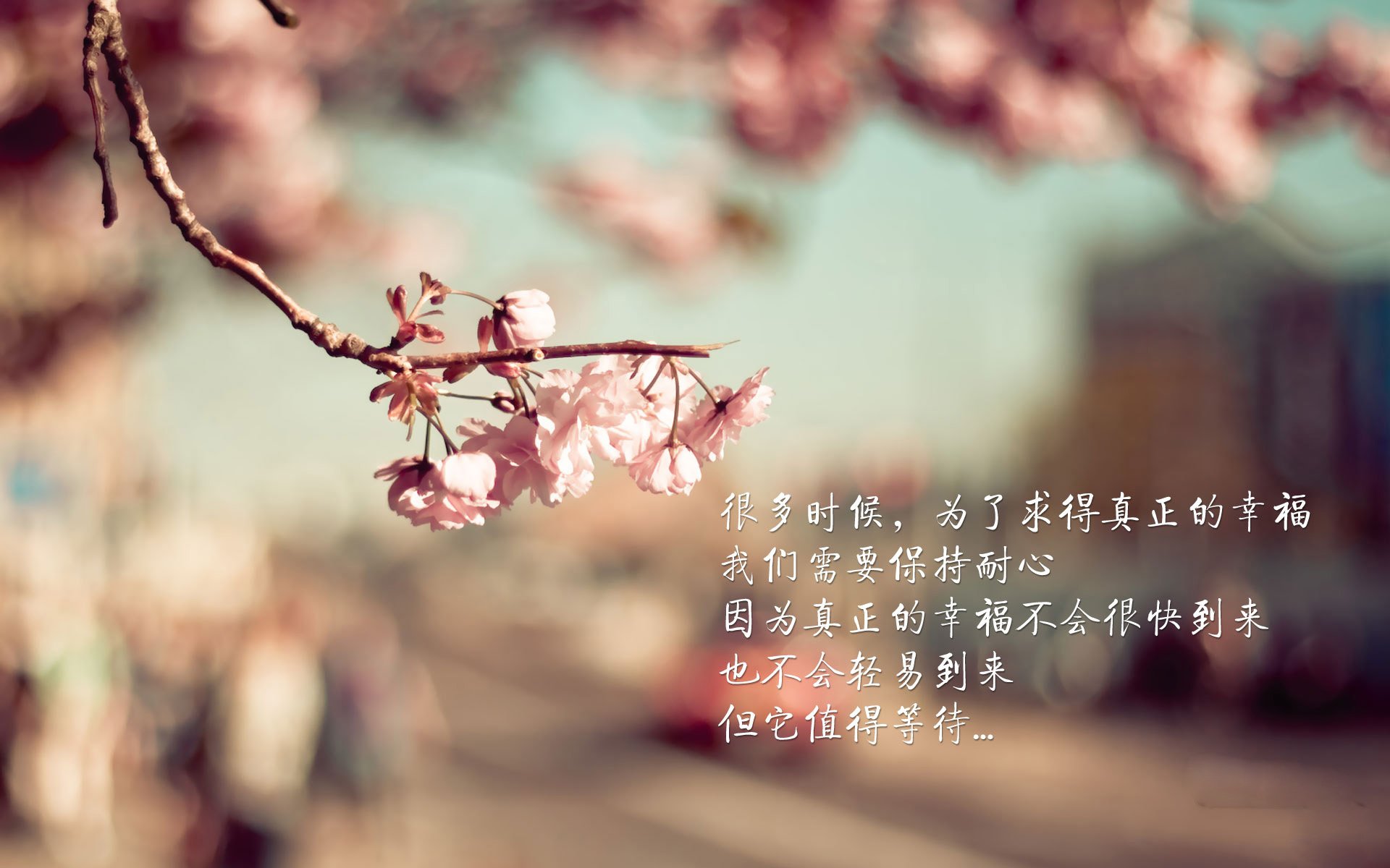 爱游戏在线-绝地反击的荣耀，2026世界杯D组，厄瓜多尔以奥斯梅恩致命一击书写奇迹
